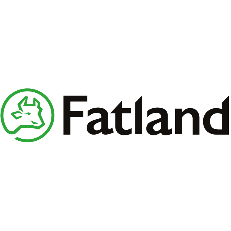 fatland_800x800