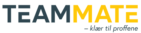 teammate_logo6